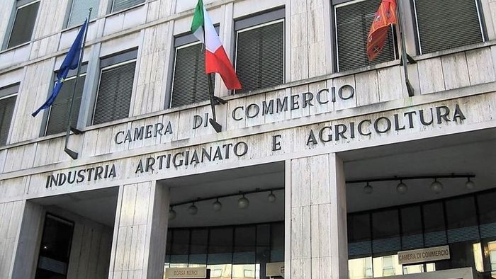 chi non deve iscriversi alla camera di commercio